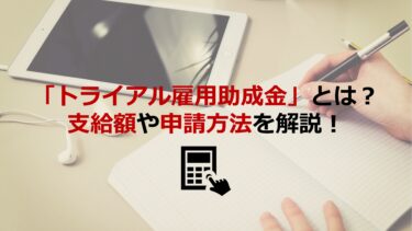 ｢トライアル雇用助成金｣とは？全コースの支給額､対象者､申請方法まで解説します