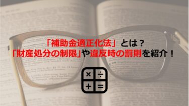 ｢補助金適正化法｣のポイントを解説！｢財産処分の制限｣や違反時の罰則も紹介します